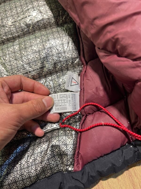 The North Face Hyvent Summit Series Branded Feather Puffer Jacket