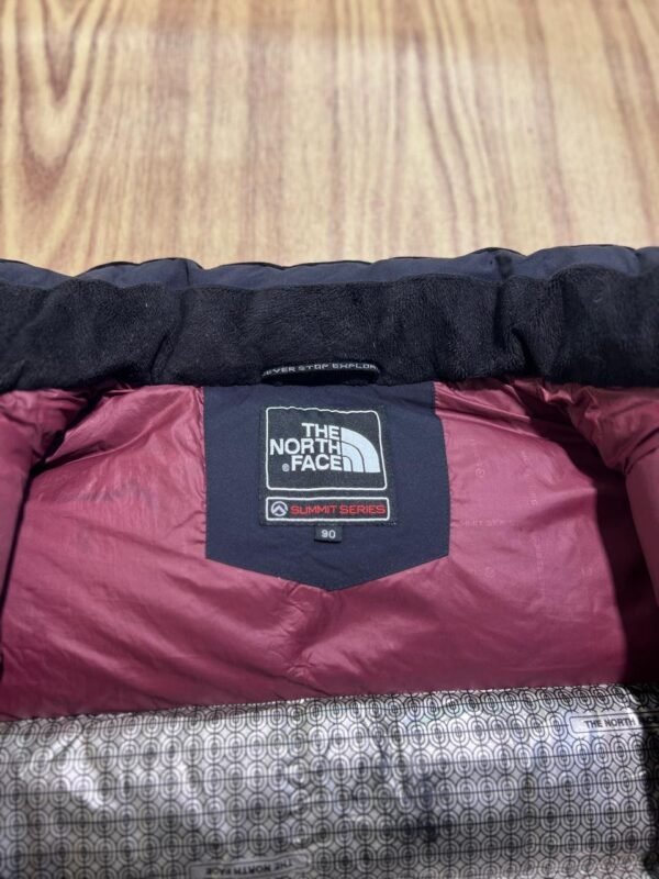 The North Face Hyvent Summit Series Branded Feather Puffer Jacket