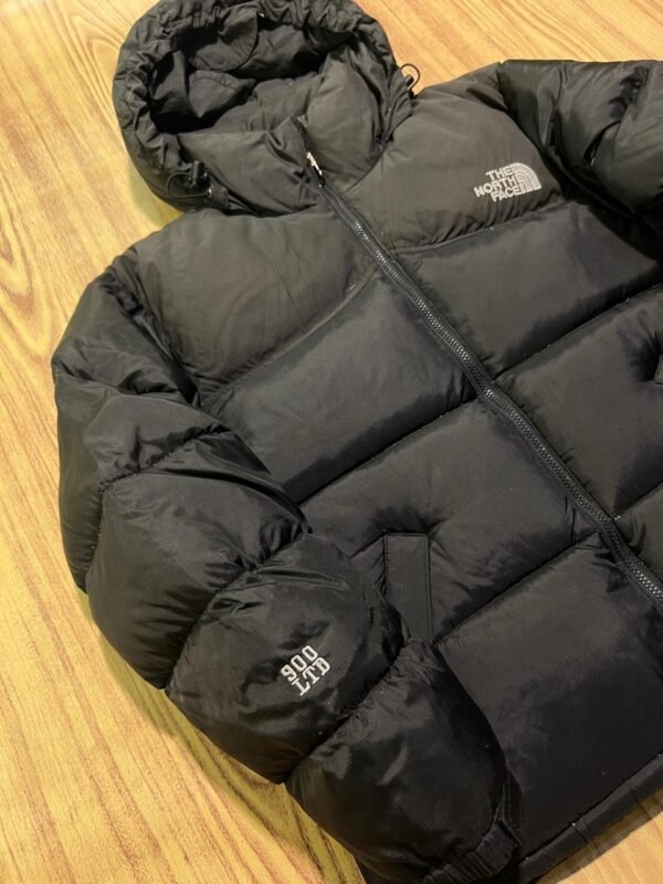 Original The NorthFace 950 LTD Summit Series Branded Feather Jacket