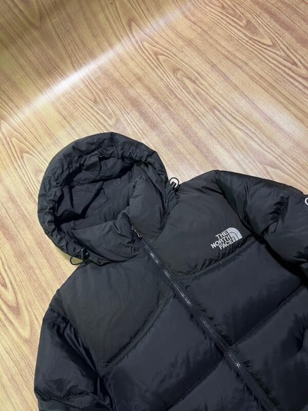 Original The NorthFace 950 LTD Summit Series Branded Feather Jacket