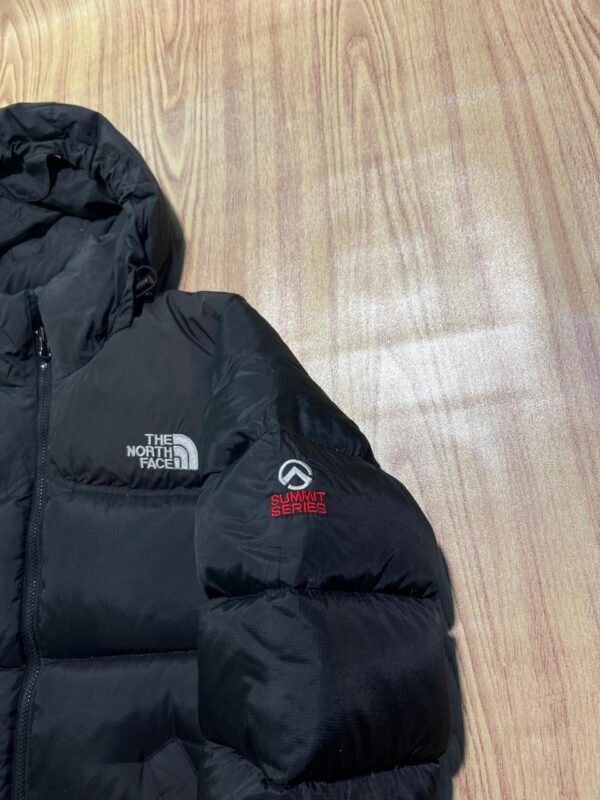 Original The NorthFace 950 LTD Summit Series Branded Feather Jacket
