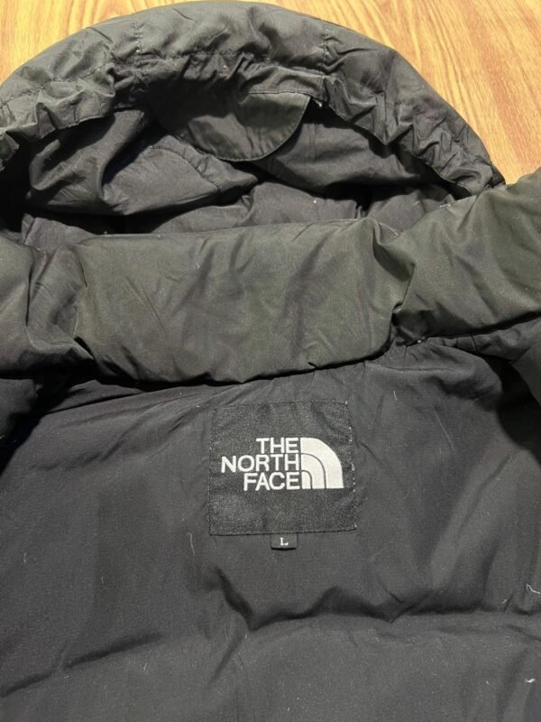 Original The NorthFace 950 LTD Summit Series Branded Feather Jacket