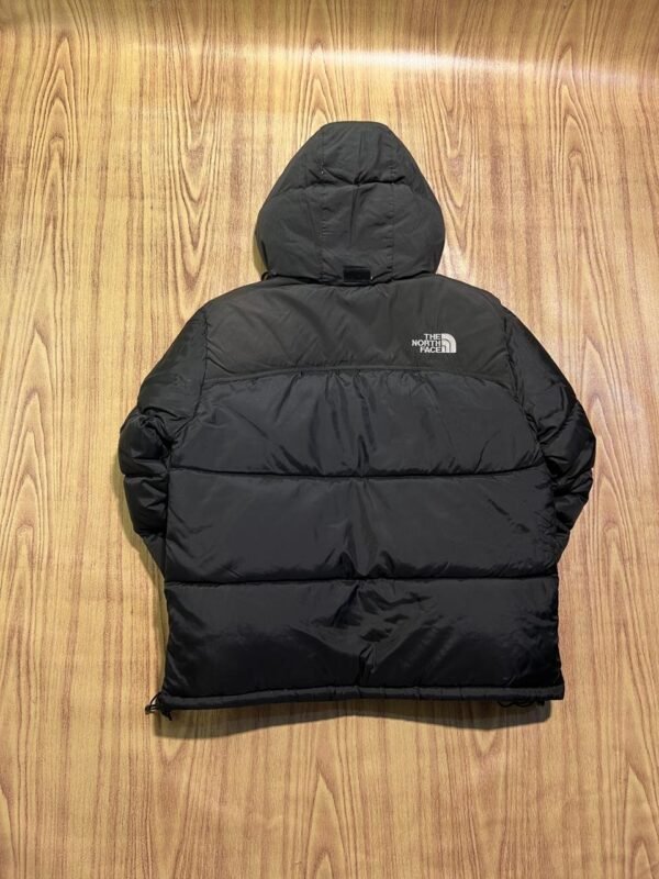 Original The NorthFace 950 LTD Summit Series Branded Feather Jacket
