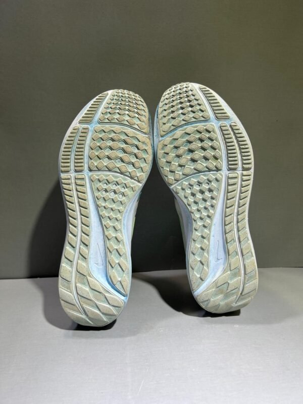 Nike Pegasus Branded Runners Shoes