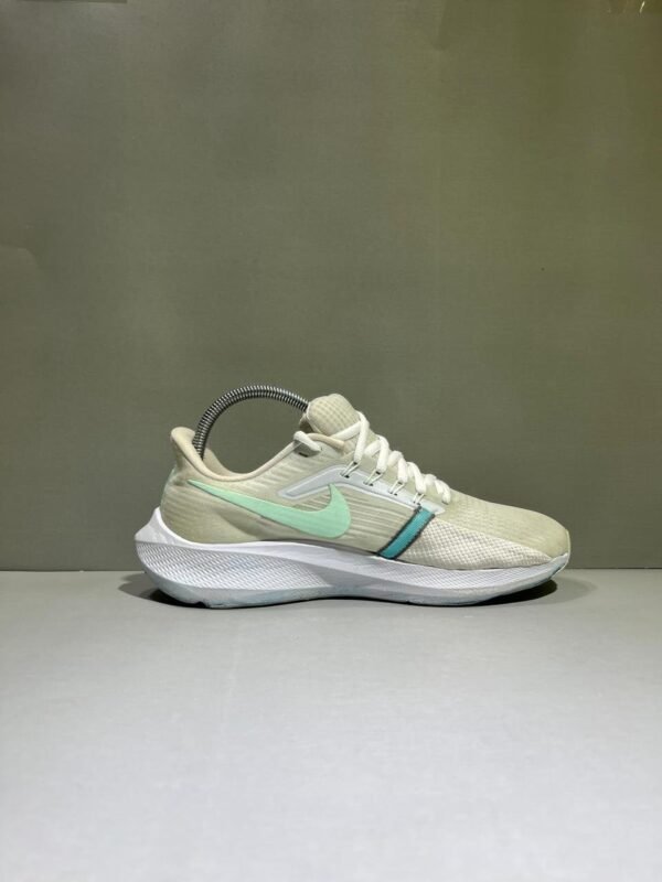 Nike Pegasus Branded Runners Shoes
