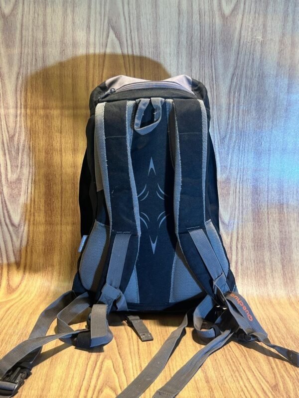 Original Quechua Branded Backpack