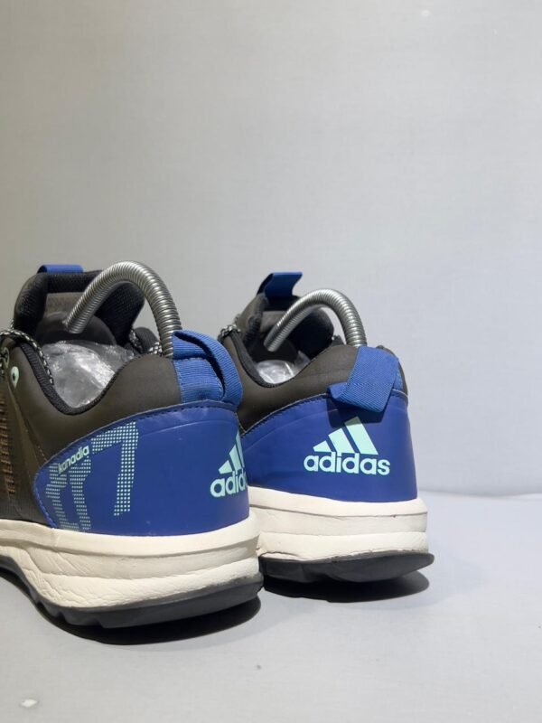 Original Adidas GTX Terrain Trekking and Off Road Shoes
